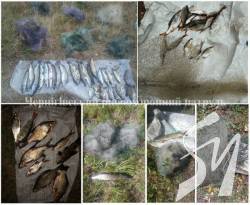 �� �� ���� ����������� 14 ��������, -  ������������� ������� �����������